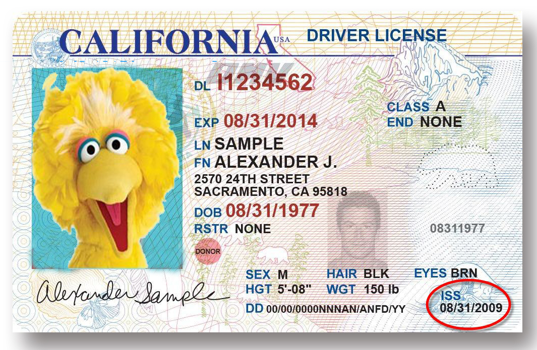 usa drivers license psd template free usa drivers license psd template free